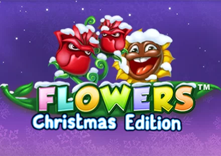 Flowers Christmas Edition
